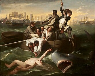 Файл:J S Copley - Watson and the Shark (Boston).jpg