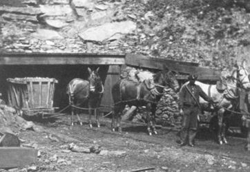 Pennsylvania Mine-21.jpg